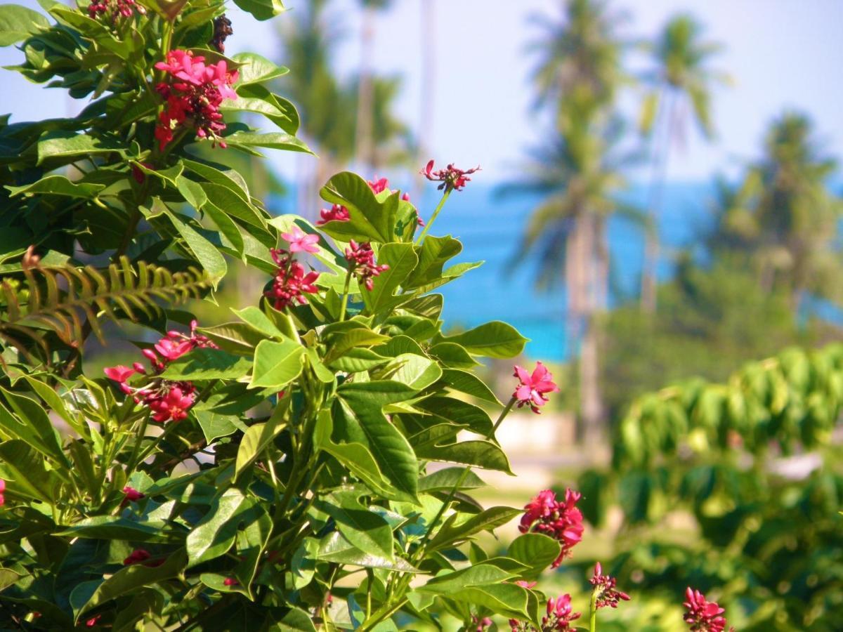 Pink House Hotel Lamai Beach  Exterior photo